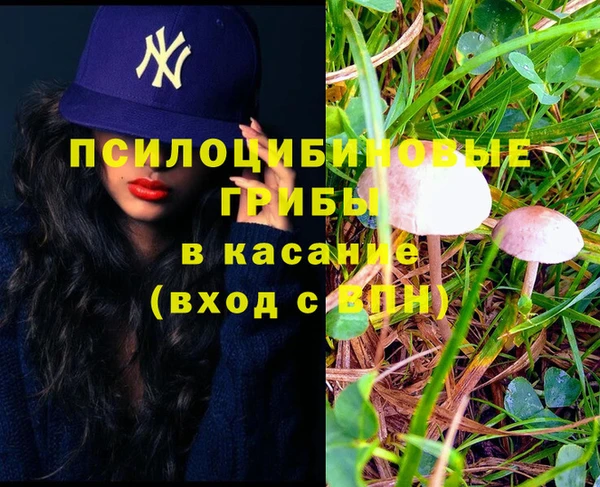 дурь Беломорск