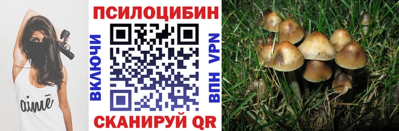 купить закладку Кемь Галлюциногенные грибы Magic Shrooms